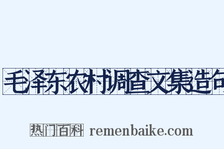 毛泽东农村调查文集造句是什么意思的图片
